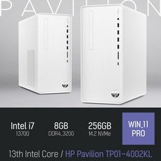 HP 파빌리온 TP01-4002KL, 램 8GB+NVMe 256GB+WIN11 PRO