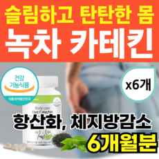 항산화 다이어트 카테킨 녹차 추출물 슬림핏 체지방 감소 니코틴산아마이드 나이아신아마이드 에너데이, 6개, 60정