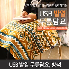 usb무릎담요