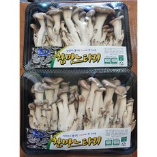 느타리버섯 1팩(200g), 1개, 200g