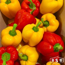 웅스팜 파프리카 빨강 노랑 혼합 파프리카, 1개, 파프리카 혼합 2kg