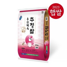 기타 용인시농협/ 23년산 용인백옥 추청쌀 20kg /상등급/당일도정