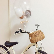 자전거라탄바구니