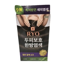 려 자양윤모 새치커버 짙은갈색4.0 염색약 1개 (9무)