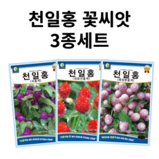 천일홍 씨앗 3종세트 꽃씨 꽃씨앗 봄꽃씨 봄 여름 가을 겨울 보라색 핑크색 빨간색 분홍색, 1개 1개