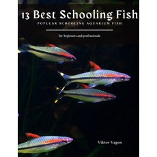 13 Best Schooling Fish: Popular Schooling Aquarium Fish Paperback, Independently Published, English, 9798719829135
