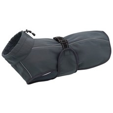 이탈리안그레이하운드우비