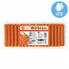 바이스부어스트