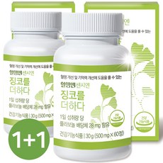 혈행엔 센시엔 징코를더하다, 60정, 2박스