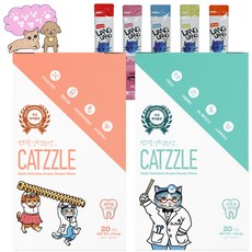 닥터페트라