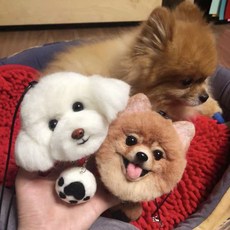 강아지양모펠트주문제작