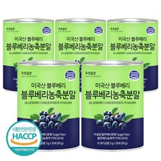 푸른들판 무설탕 블루베리 농축 분말 스틱 과일 가루 파우더, 5개, 90g