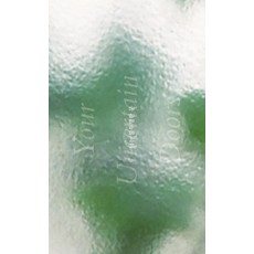 너는 불투명한 문, 별빛들, 9791189885137, 최유수 저
