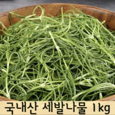산나물무침