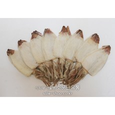 건한치 40미(S) AAA급 (950g이상)(냉동)(건어물), 1개