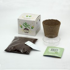 팜팜농장관찰일지