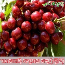 1b55512f3748107e80e43f496bfe5c90bbf8a54f0f279aa358b6550fa37b.jpg