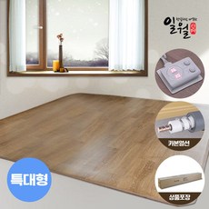 일월카본