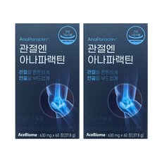 기타 [(주)에이스바이옴] 관절엔 아나파랙틴 630mg x 60정 2박스 -SDL-, 2개