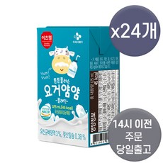 CJ프레시웨이 아이누리 튼튼플러스 요거얌얌 플레인 125ml x 24개, 상세페이지 참조