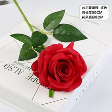 812ec4f0c1f931bd9516fe18002e31df0fa6adf32ab3808b302fb06ba684.jpg