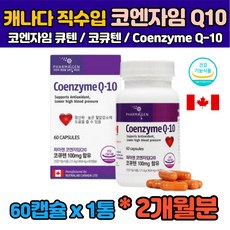 에이플러스코큐텐