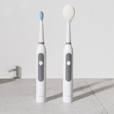 전동칫솔건전지