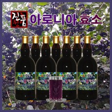 장녹원 아로니아효소 1100ml