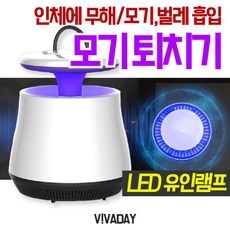 차안모기