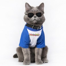 애완 고양이 강아지 미니 선글라스 댕댕이 떼껄룩 촬영 소품, 1개, 노랑