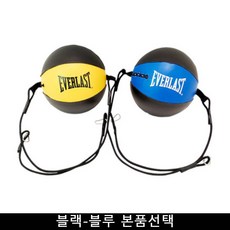 기타 래피드 펀치 볼 블랙-블루