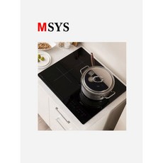 msys인덕션