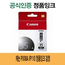 캐논ip110
