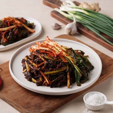 홍갓+파김치 2kg 전라도 보성엔 보성녹차 조선갓 무김치 파김치 쪽파김치, 1개