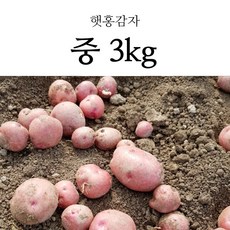 //상품명