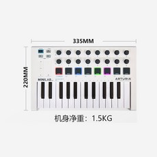 Arturia MiniLab MKII 25 키 미디 휴대용 키보드 타악기 패드 작곡가 음악 키보드, Arturia MiniLab MKII 25 키 화