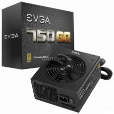 evga750gq