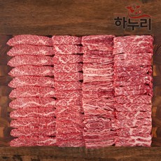  [품질보증 하누리] 한우 1++ 소한마리 모듬구이 400g (갈비살+앞치마살+업진안살+삼각살) 시즈닝+올리브오일 무료증정, 1개 