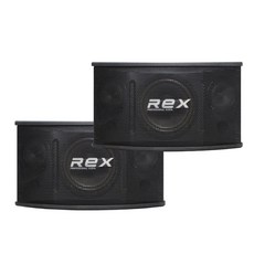 노래방스피커 REX STM 3종(6/8/10인치) 매장 카페 업소 가정용 1조(2개), 10인치 (RX-100) - 스피커sms-a100