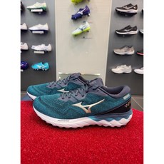 스카이웨이브토미카