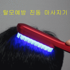 탈모관리기계