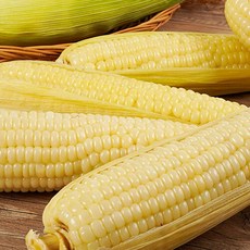 농부마음 괴산 대학 찰옥수수 30개입 특품, 단품없음