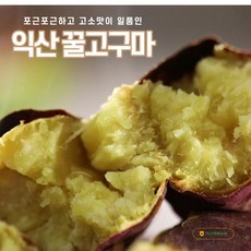 익산고구마