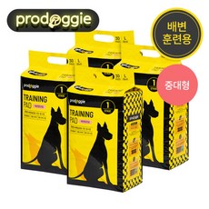 [프로도기] 트레이닝 배변패드 L 120매 (30매 x 4팩), 상세 설명 참조