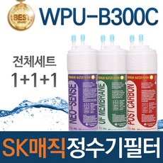 SK매직 WPU-B300C 고품질 정수기 필터 호환 전체세트, 선택01_전체세트(1+1+1=3개)