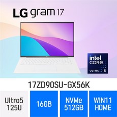 LG전자 2024 그램17 17ZD90SU-GX56K