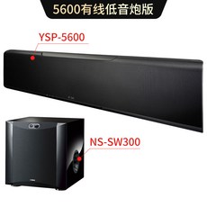 ysp5600