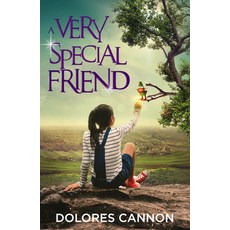 (영문도서) A Very Special Friend Paperback, Big Sandy Press, English, 9781950639014