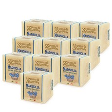 스푸마 프리미엄 세탁비누 마르실리아 250g x10개, 단품