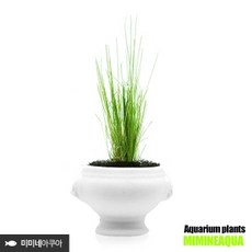 라이언접이식포트